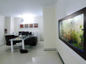 دفتر کار - سعادت آباد