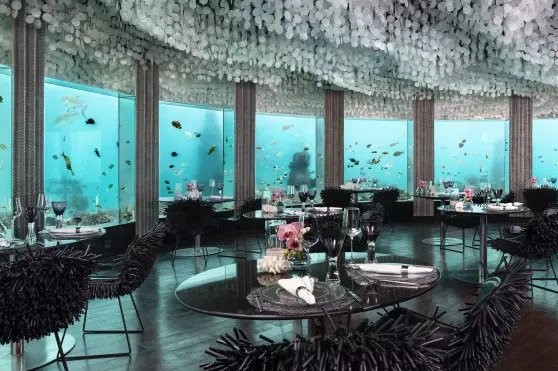 6 هتل زیبا با منظره زیر آب
