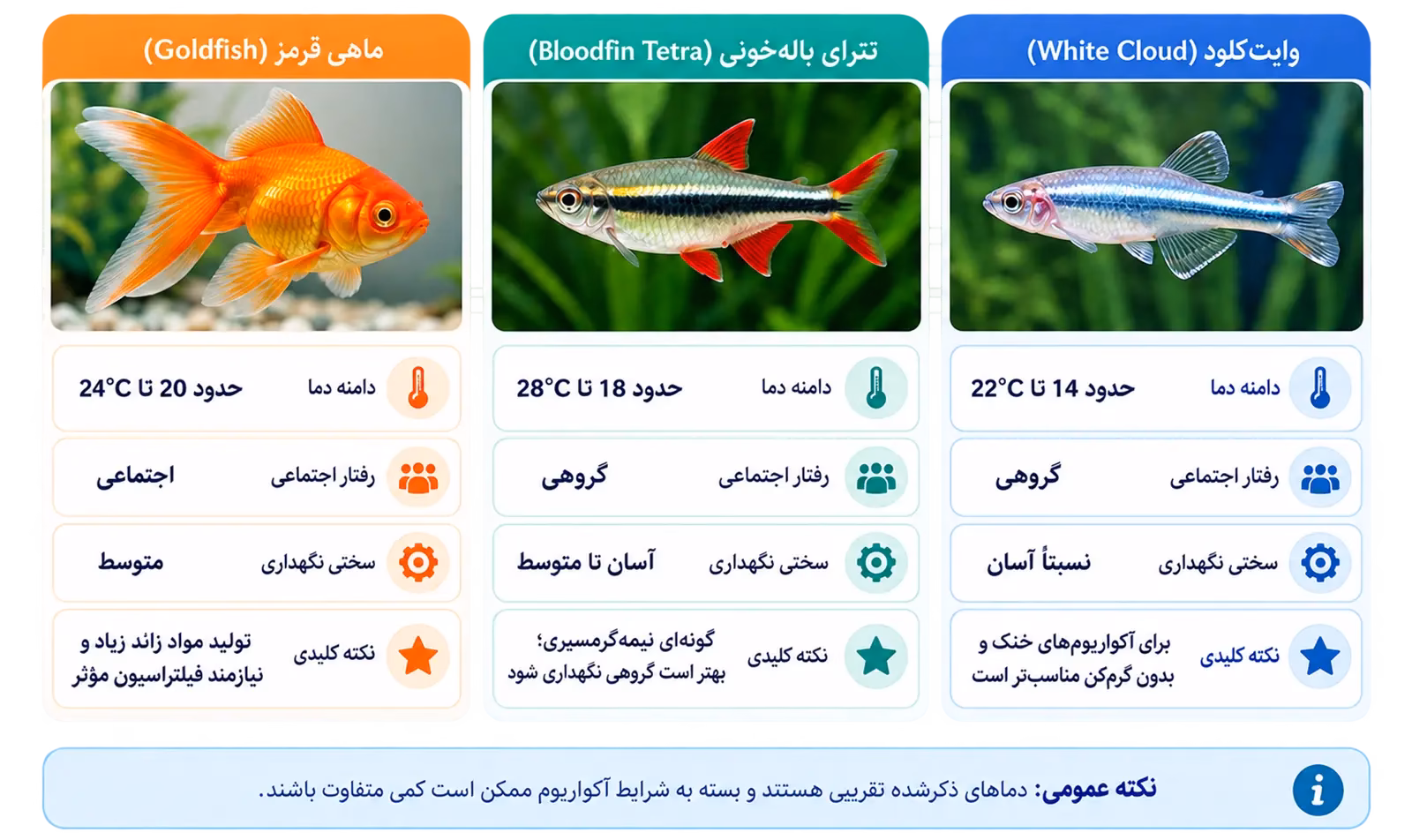 اینفوگرافیک مقایسه گلدفیش، تترای بالهخونی و وایتکلود از نظر دما، رفتار اجتماعی و شرایط نگهداری